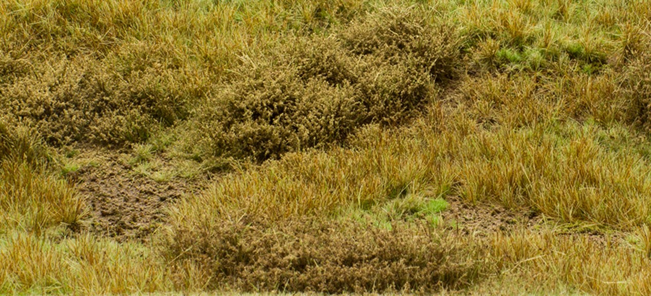 welberg waldboden